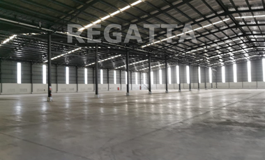 Sewa Pabrik Luas di Delta Silicon 6, Lippo Cikarang - Siap Pakai