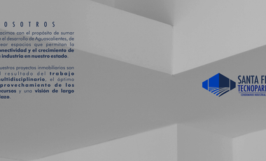 LOTES INSDUSTRIALES EN VENTA EN SAN FRANCISCO DE LOS ROMOS, AGS