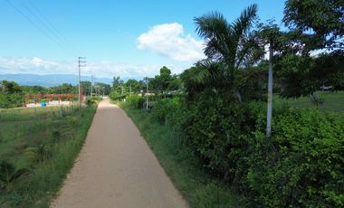 ¿Te gustaría tener tu propio terreno cerca de Tarapoto? Tengo uno de 480 m² pasando 'La Laguna Venecia'. ¡Es un lugar tranquilo y bien ubicado!