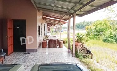 Single house with land, Sawi, 332 sq w, Chumphon, near Wat Phra Borommathat Sawi, Chumphon