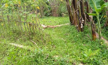 Jual Tanah Kavling Murah Bogor Barat Surat SHM Super Murah