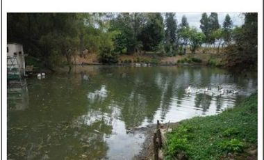 Venta de Club en  Mosquera, Cundinamarca, todas las instalaciones activas, y funcionando