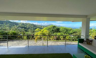 Mansion House for SALE in Danao City, Cebu with Swimming Pool & Panoramic View