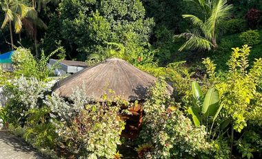 Mansion House for SALE in Danao City, Cebu with Swimming Pool & Panoramic View