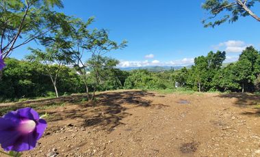 Lote El Cielo I Totalmente Plano en Esquina Bonita Vista Rancho San Diego Edomex