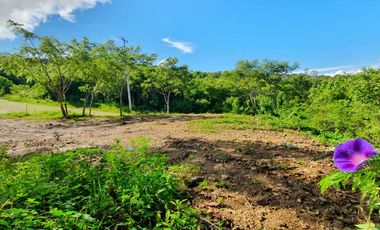 Lote El Cielo I Totalmente Plano en Esquina Bonita Vista Rancho San Diego Edomex