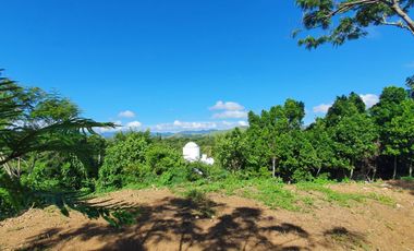 Lote El Cielo I Totalmente Plano en Esquina Bonita Vista Rancho San Diego Edomex
