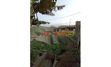 Se Vende Terreno Urbano En Zapallal Puente Piedra Para Proyecto Inmobiliario