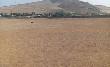 VENTA DE TERRENO EN CHANCAY, 2 HAS, HABILITADO PARA GRIFO, FRONTERA AL BORDE DE LA CARRETERA, ZONA URBANA