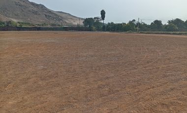 VENTA DE TERRENO EN CHANCAY, 2 HAS, HABILITADO PARA GRIFO, FRONTERA AL BORDE DE LA CARRETERA, ZONA URBANA