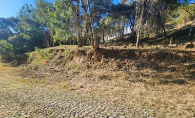Venta de Lote Camelia I Bonitas Vistas Fracc Rancho San Diego Ixtapan de La Sal