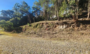 Venta de Lote Camelia I Bonitas Vistas Fracc Rancho San Diego Ixtapan de La Sal