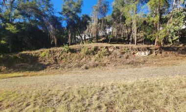 Venta de Lote Camelia I Bonitas Vistas Fracc Rancho San Diego Ixtapan de La Sal