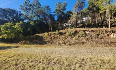 Venta de Lote Camelia I Bonitas Vistas Fracc Rancho San Diego Ixtapan de La Sal