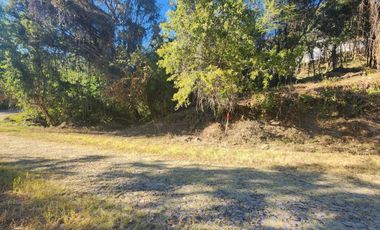 Venta de Lote Camelia I Bonitas Vistas Fracc Rancho San Diego Ixtapan de La Sal