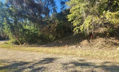 Venta de Lote Camelia I Bonitas Vistas Fracc Rancho San Diego Ixtapan de La Sal