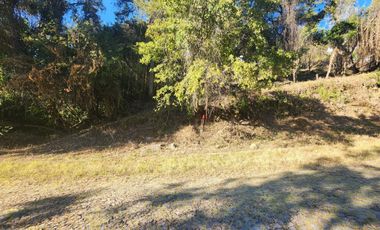 Venta de Lote Camelia I Bonitas Vistas Fracc Rancho San Diego Ixtapan de La Sal