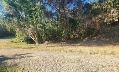 Venta de Lote Camelia I Bonitas Vistas Fracc Rancho San Diego Ixtapan de La Sal