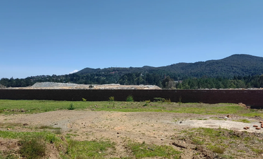 TERRENO HABITACIONAL EN VENTA EN OMITLAN DE JUAREZ, HIDALGO