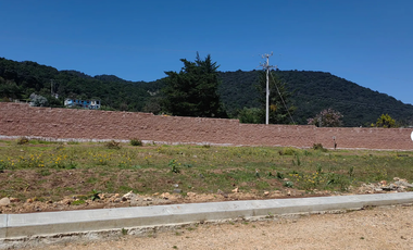 TERRENO HABITACIONAL EN VENTA EN OMITLAN DE JUAREZ, HIDALGO