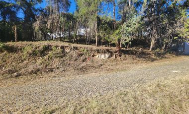 Lote Camelia II Bonitas Vistas Fracc Rancho San Diego Ixtapan de La Sal Edomex