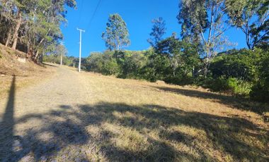 Lote Camelia II Bonitas Vistas Fracc Rancho San Diego Ixtapan de La Sal Edomex