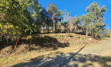 Lote Camelia II Bonitas Vistas Fracc Rancho San Diego Ixtapan de La Sal Edomex