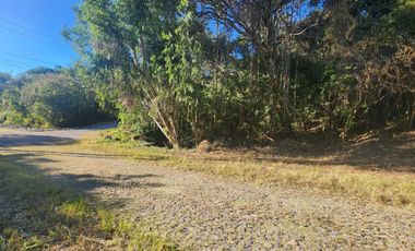 Lote Camelia II Bonitas Vistas Fracc Rancho San Diego Ixtapan de La Sal Edomex