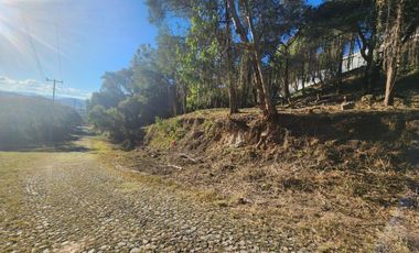Lote Camelia II Bonitas Vistas Fracc Rancho San Diego Ixtapan de La Sal Edomex