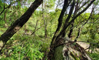 Bonito Lote Las Piedras con Vista, Proyecto y Cerca Entrada Rancho San Diego