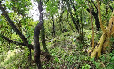 Bonito Lote Las Piedras con Vista, Proyecto y Cerca Entrada Rancho San Diego
