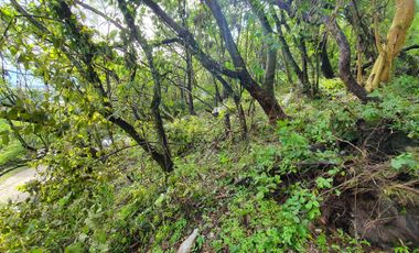 Bonito Lote Las Piedras con Vista, Proyecto y Cerca Entrada Rancho San Diego