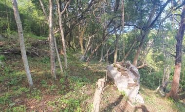 Bonito Lote Las Piedras con Vista, Proyecto y Cerca Entrada Rancho San Diego