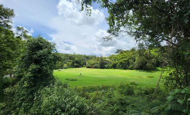 Lote Margarita III Semiplano Cerca de Río, Campo de Golf y Acceso con Proyecto