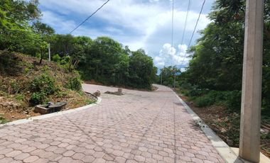 Lote Margarita III Semiplano Cerca de Río, Campo de Golf y Acceso con Proyecto
