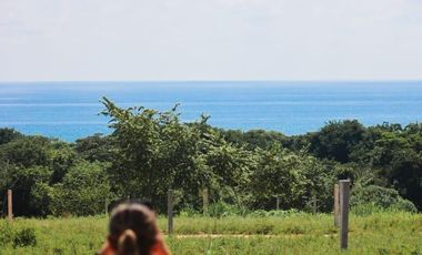 se venden terrenos con bonita vista al mar, en playa agua blanca, puerto Esc oax.