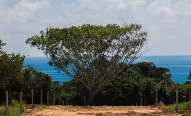se venden terrenos con bonita vista al mar, en playa agua blanca, puerto Esc oax.