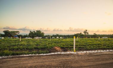 se venden terrenos con bonita vista al mar, en playa agua blanca, puerto Esc oax.