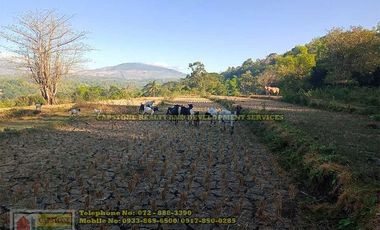 A Self-Sufficient Homestead For Sale in Abra