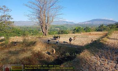 A Self-Sufficient Homestead For Sale in Abra