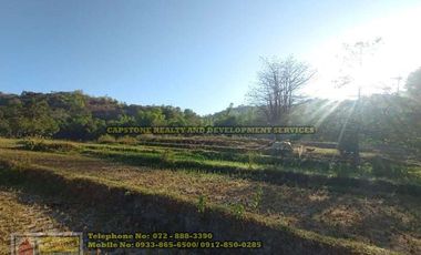 A Self-Sufficient Homestead For Sale in Abra