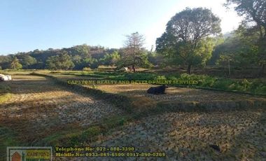 A Self-Sufficient Homestead For Sale in Abra
