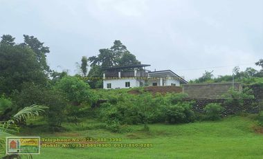 A Self-Sufficient Homestead For Sale in Abra