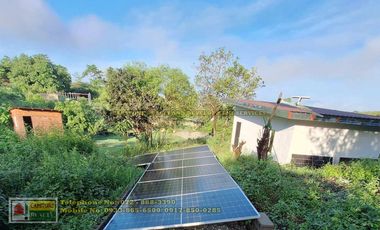 A Self-Sufficient Homestead For Sale in Abra