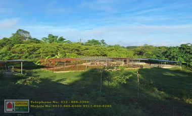 A Self-Sufficient Homestead For Sale in Abra