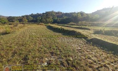 A Self-Sufficient Homestead For Sale in Abra