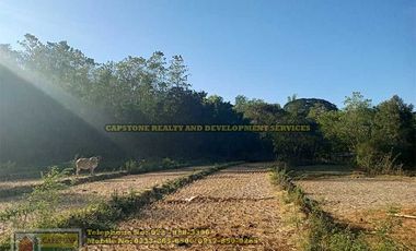 A Self-Sufficient Homestead For Sale in Abra