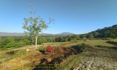 A Self-Sufficient Homestead For Sale in Abra
