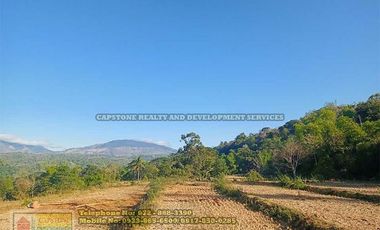 A Self-Sufficient Homestead For Sale in Abra