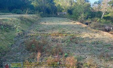 A Self-Sufficient Homestead For Sale in Abra